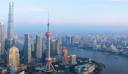绿茶怎么泡不苦？水温时间怎么控制？掌握这3个核心密码，一口鲜爽回甘！🍵