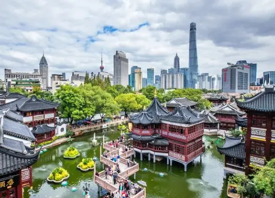 上海黄鱼面到底哪家值得排队？我吃了三天，嘴都吃刁了